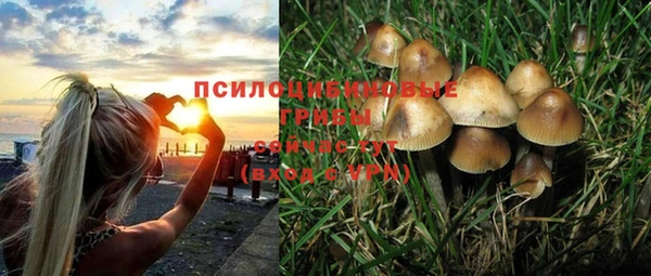 гидропоника Баксан