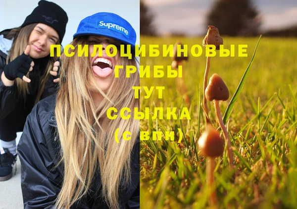 ГАЛЛЮЦИНОГЕННЫЕ ГРИБЫ Балахна
