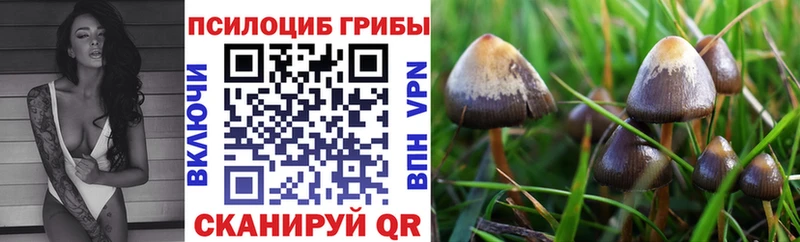 где купить наркоту Туринск Галлюциногенные грибы GOLDEN TEACHER